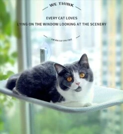Kat Bed Luxe Zuignap Hangmat Nest Opknoping Kat Bed Raam Klimmuur Vensterbank Muur Wandmeubel Hangmat Katten Bed Huisdier Dierbenodigdheden
