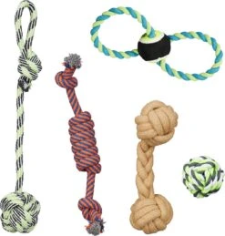 Relaxdays Speeltouwen Hond – 5-delige Set – Hondenspeelgoed – Trekspeelgoed – Flostouwen