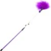 Nobleza Kattenhengel Met Pluimveren En Belletje – Kattenhengel Met Kralen – Kattenspeelgoed – Kattenspeeltje – Kittenspeelgoed – Kattenstok – Speelhengel Kat – Katten Speelhengel – Paars -Huisdierbenodigdheden Winkel 1166x1200