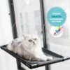Kattenmand Voor Aan Het Raam – Kattenbed – Hangmat Kat – Kattenhangmat – Zwart – Incl. GRATIS E-Book & Kattenspeeltje! 2 Kattenmand Voor Aan Het Raam – Kattenbed – Hangmat Kat – Kattenhangmat – Zwart – Incl. GRATIS E-Book & Kattenspeeltje! -Huisdierbenodigdheden Winkel 1200x1028