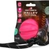 Dog Comets Ball Halley Met Touw Hondenspeeltje – Duurzaam Honden Speelgoed – Stevige Honden Bal – Rubberen Bal – Geschikt Voor Honden – Hondenbal Voor Gezonder Tandvlees – Roze – 6 Diameter -Huisdierbenodigdheden Winkel 1200x1030