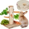 Relaxdays Konijnen Speelgoed 2-delig – Intelligentiespeelgoed – Voerboom – Cavia Speeltjes 1 Relaxdays Konijnen Speelgoed 2-delig – Intelligentiespeelgoed – Voerboom – Cavia Speeltjes -Huisdierbenodigdheden Winkel 1200x1144