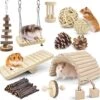 Hamster Kauwspeelgoed, 12 Stuks Natuurlijk Hout Konijnenspeelgoed Oefening Klokkenrol Tandverzorging Baktandspeelgoed Voor Chinchilla Hazen Cavia’s -Huisdierbenodigdheden Winkel 1200x1170