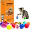 Allerion Kattenspeelgoed Balletjes Set – Katten Speeltjes Intelligentie – 42-delig – Plastic Balletjes – Verschillende Vormen En Kleuren -Huisdierbenodigdheden Winkel 1200x1190