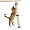 Make Me Purr Krabmat Met Klittenband (63×25 Cm) – Sisal Krabpaal Voor Katten – Kat Krab Mat Voor Tafelpoot – Tafel Krab Paal Meubel – Kitten Krappaal – Krabmeubel Van Sisaltouw – Meubelbescherming -Huisdierbenodigdheden Winkel 1200x1200 5