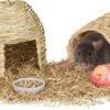 Relaxdays Konijnen Speelgoed – 2-delige Set – Knaagdieren Benodigdheden – Speeltjes Cavia -Huisdierbenodigdheden Winkel 1200x679