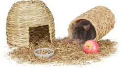 Relaxdays Konijnen Speelgoed – 2-delige Set – Knaagdieren Benodigdheden – Speeltjes Cavia