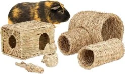 Relaxdays Konijnen Speelgoed – Set Van 5 – Knaagdier Speeltjes – Kooiaccessoires – Cavia