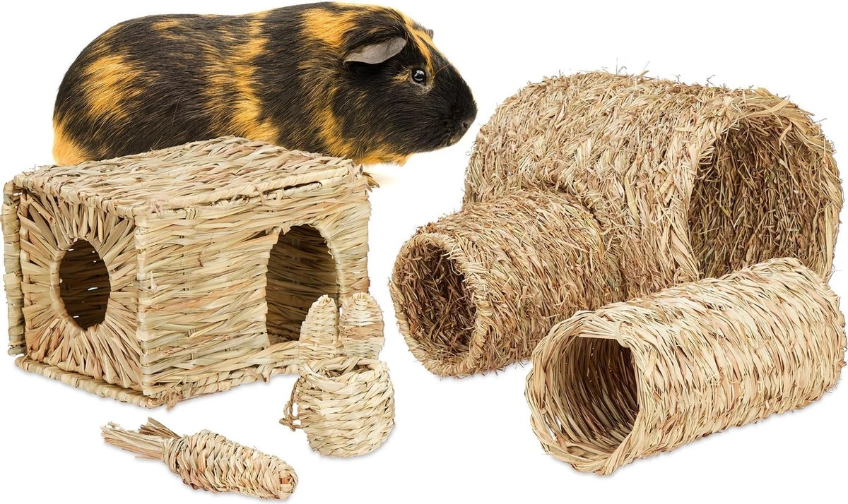 Relaxdays Konijnen Speelgoed – Set Van 5 – Knaagdier Speeltjes – Kooiaccessoires – Cavia 3 Relaxdays Konijnen Speelgoed – Set Van 5 – Knaagdier Speeltjes – Kooiaccessoires – Cavia