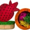 Pawise Wood’n Loofah Pretty Toys Peer -Huisdierbenodigdheden Winkel 1200x835