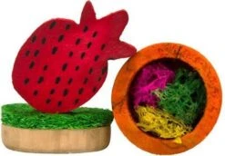 Pawise Wood’n Loofah Pretty Toys Peer