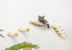 Klimmuur Kat XXL Editie – Krabpaal – Katten Klimmuur – Katten Klim Wand – Met Hangmat