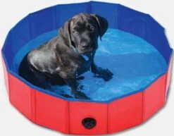 Animal Boulevard AB29509 Zwembad Voor Honden Rood/Blauw – 100 Cm
