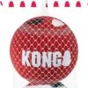 KONG Signature Speelballen M – Steviger Dan Tennisballen – Niet Schurend Materiaal – Speelbal Voor Honden – 3 Stuks -Huisdierbenodigdheden Winkel 505x1200