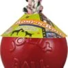 Jolly Ball Romp-n-Roll – Honden Speelbal Met Frisse Geur – Hondenspeelgoed Met Stevig Trektouw – Rood – Ø 10 Cm -Huisdierbenodigdheden Winkel 627x1200