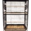 Keddoc – Bird Cage Aviary – Kooi -Huisdierbenodigdheden Winkel 858x1200 1