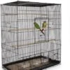 Keddoc Bird Cage Budgie Home – Kooi – Zwart -Huisdierbenodigdheden Winkel 922x1200