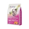 Profine Adult Derma – Kattenvoer – Zalm – 2 Kg 1 Profine Adult Derma – Kattenvoer – Zalm – 2 Kg -Huisdierbenodigdheden Winkel profine adult derma kattenvoer zalm 2 kg 105667 0300 none