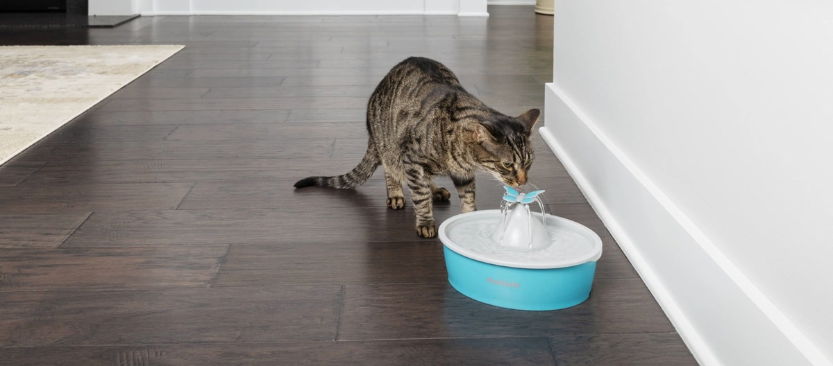 Huisdierbenodigdheden Winkel -Huisdierbenodigdheden Winkel 2